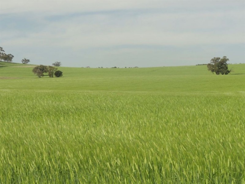 1 Snake Gully Road, Wirrabara SA 5481