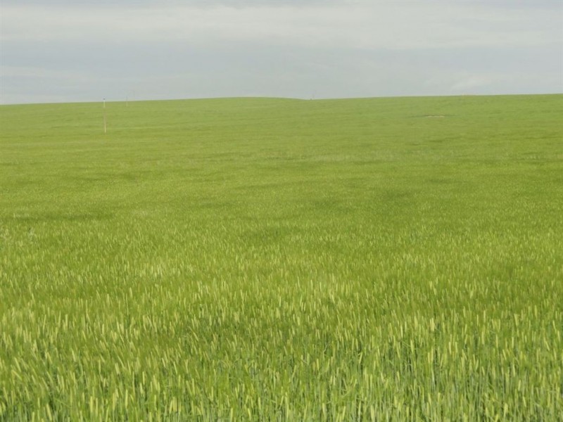 1 Snake Gully Road, Wirrabara SA 5481