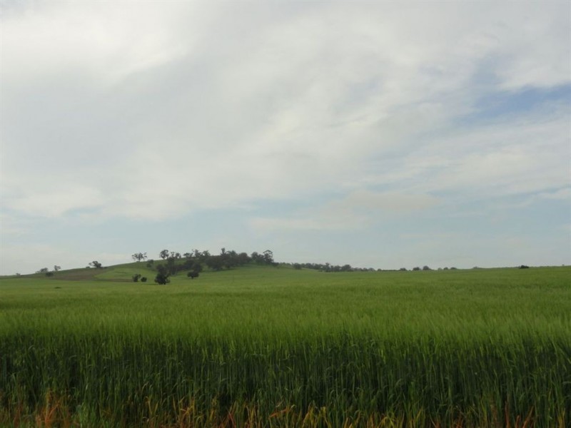 1 Snake Gully Road, Wirrabara SA 5481