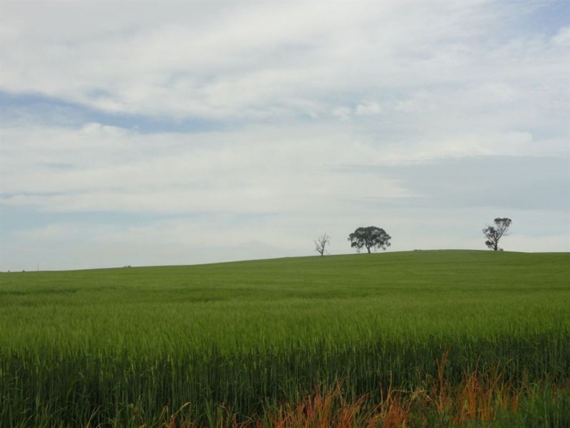 1 Snake Gully Road, Wirrabara SA 5481