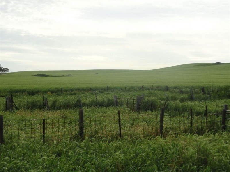 1 Snake Gully Road, Wirrabara SA 5481