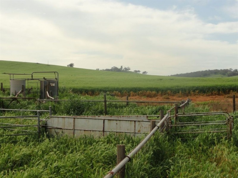 1 Snake Gully Road, Wirrabara SA 5481