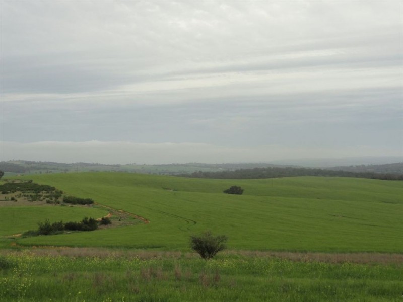 1 Snake Gully Road, Wirrabara SA 5481