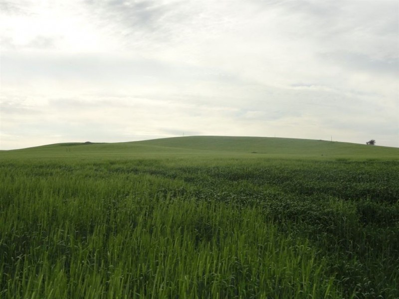 1 Snake Gully Road, Wirrabara SA 5481