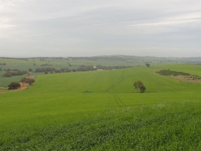 1 Snake Gully Road, Wirrabara SA 5481