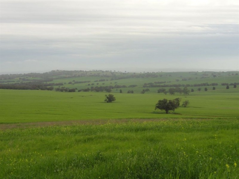 1 Snake Gully Road, Wirrabara SA 5481