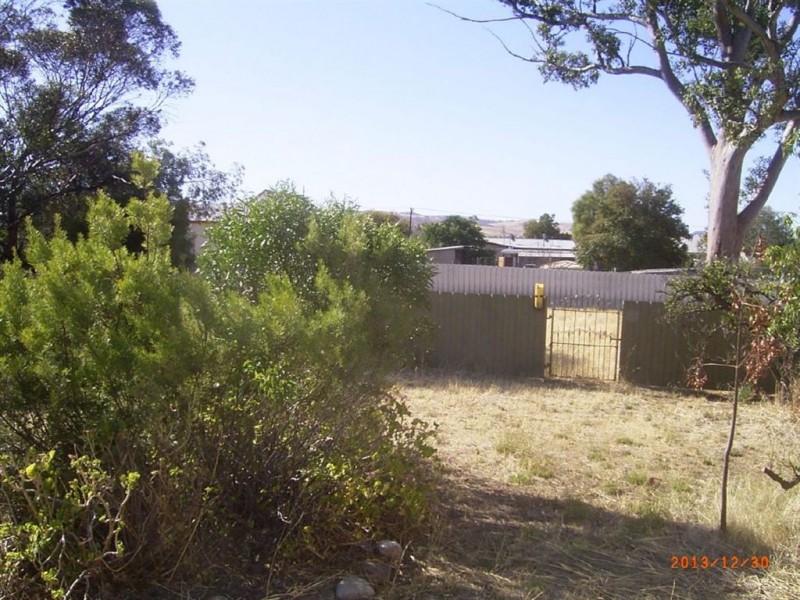24 Holthouse Street, Wilmington SA 5485