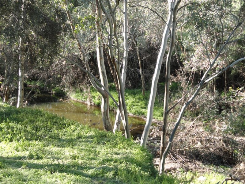 18780 Horrocks Highway, Wirrabara SA 5481
