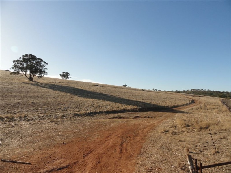 Wirrabara SA 5481