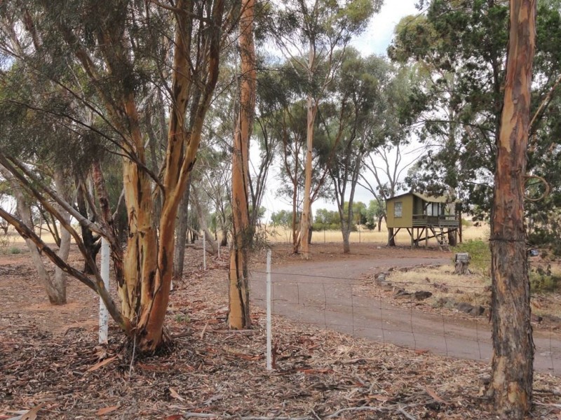 13 Spaeth Road, Wilmington SA 5485