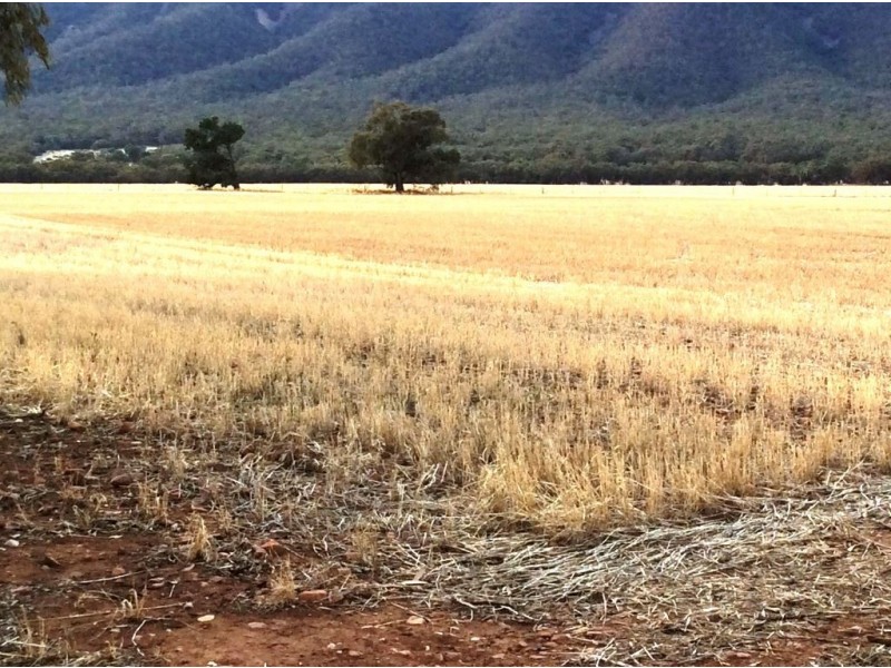 11 Diocesan Road, Melrose SA 5483