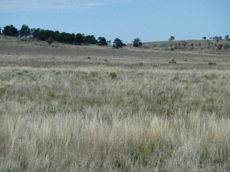 * Pekina, Orroroo SA 5431
