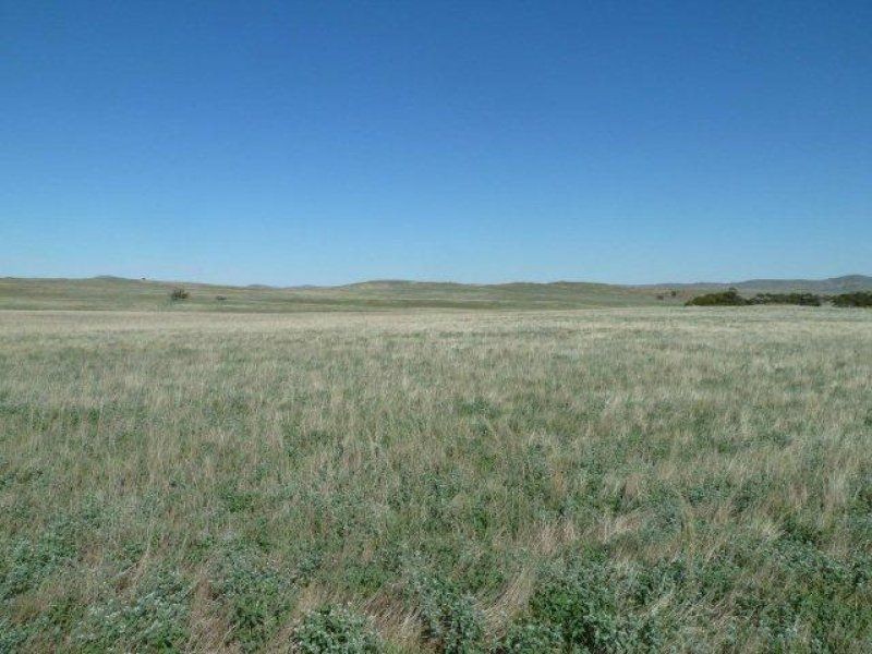 * Pekina, Orroroo SA 5431