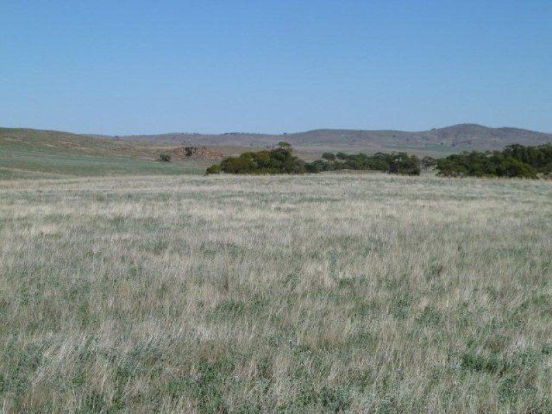 * Pekina, Orroroo SA 5431