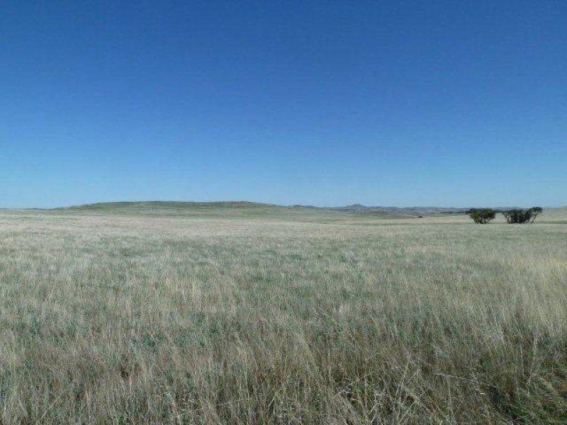 * Pekina, Orroroo SA 5431