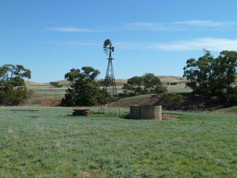 * Pekina, Orroroo SA 5431