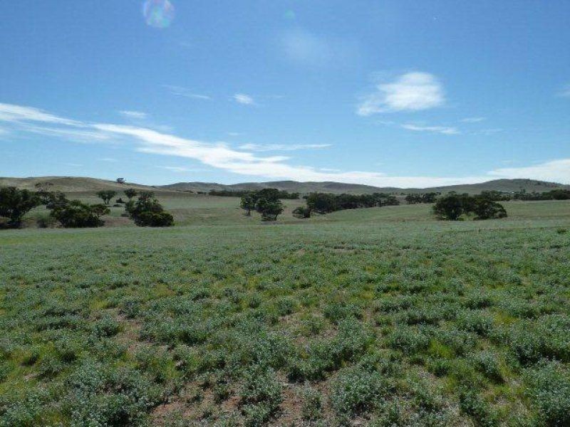* Pekina, Orroroo SA 5431