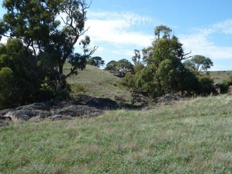 * Pekina, Orroroo SA 5431