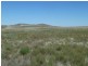 * Pekina, Orroroo SA 5431