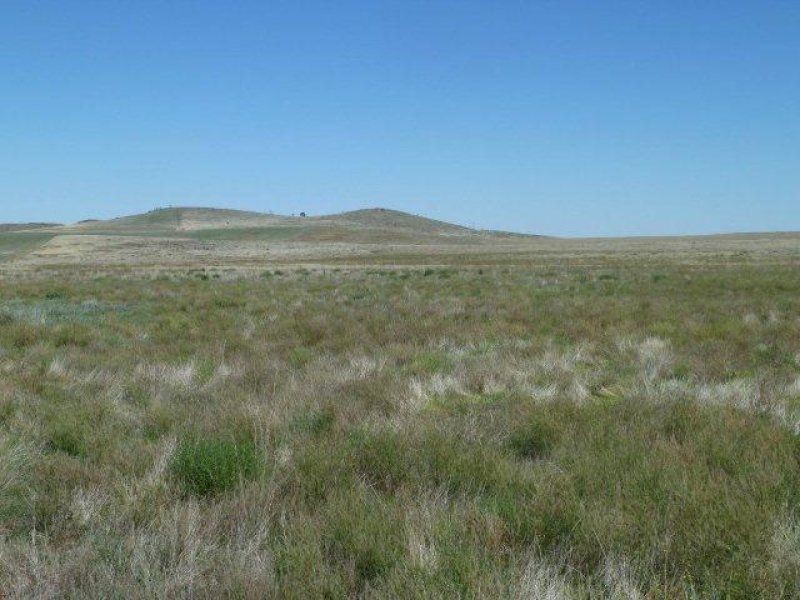 * Pekina, Orroroo SA 5431