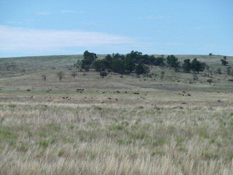 * Pekina, Orroroo SA 5431