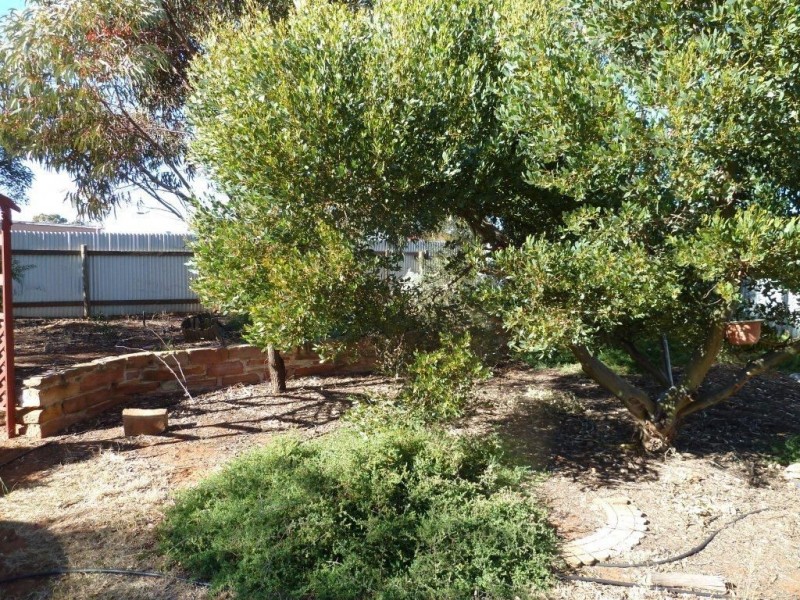 49 Mitchell Street, Terowie SA 5421