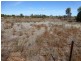 Sec. 420 Fowlers Road, Peterborough SA 5422