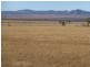 163 & 164 Gawler Drive, Orroroo SA 5431