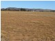 163 & 164 Gawler Drive, Orroroo SA 5431