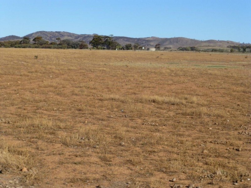163 & 164 Gawler Drive, Orroroo SA 5431
