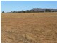 163 & 164 Gawler Drive, Orroroo SA 5431