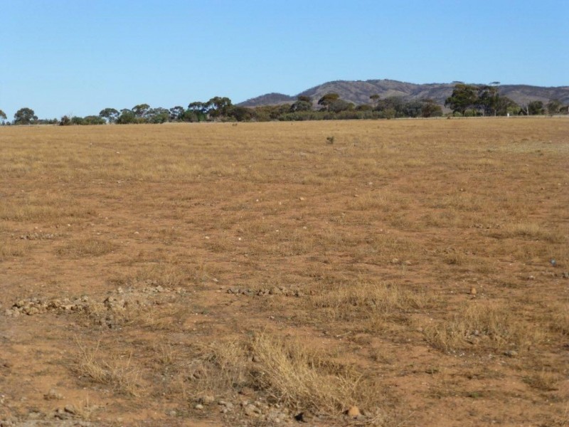 163 & 164 Gawler Drive, Orroroo SA 5431