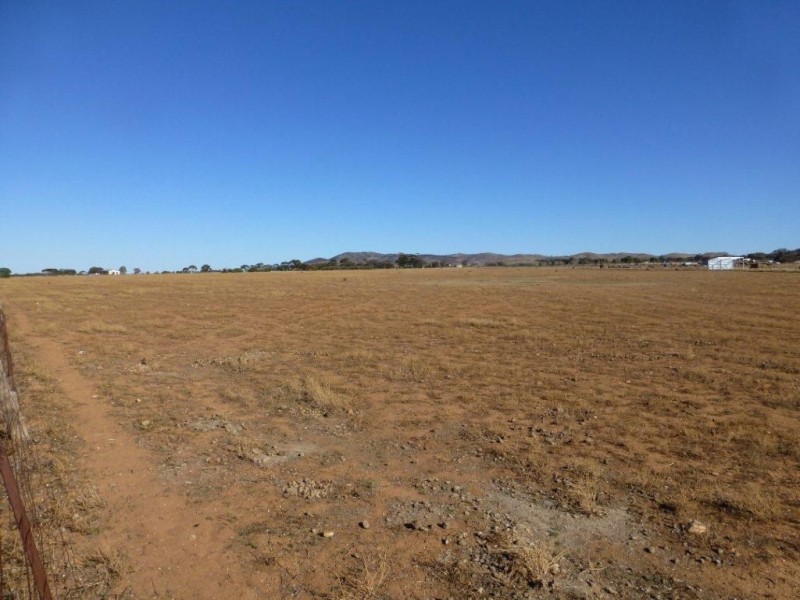 163 & 164 Gawler Drive, Orroroo SA 5431