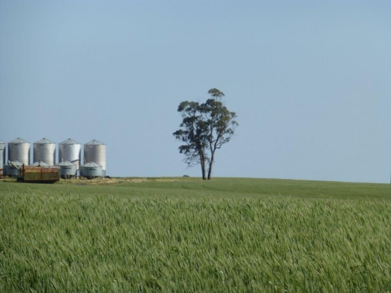 * “Gumview”, Pekina SA 5431