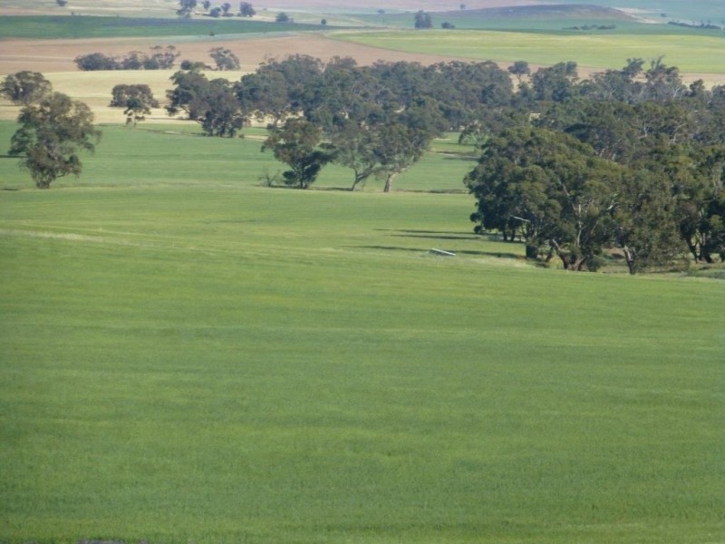 * “Gumview”, Pekina SA 5431