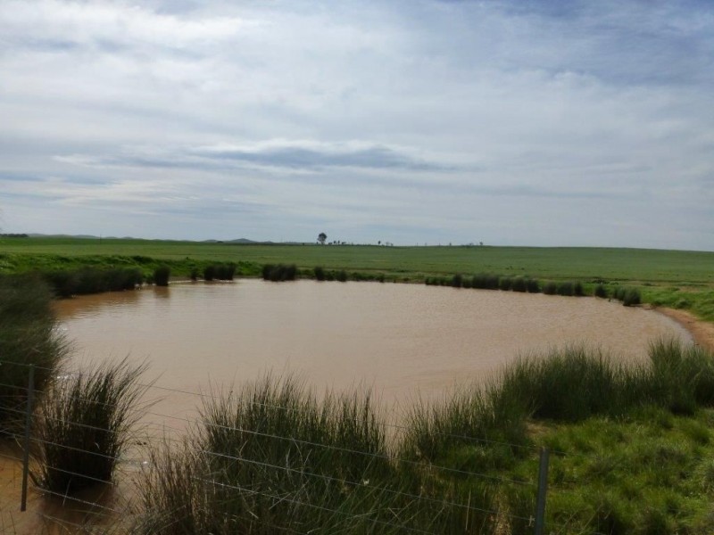 * “Gumview”, Pekina SA 5431