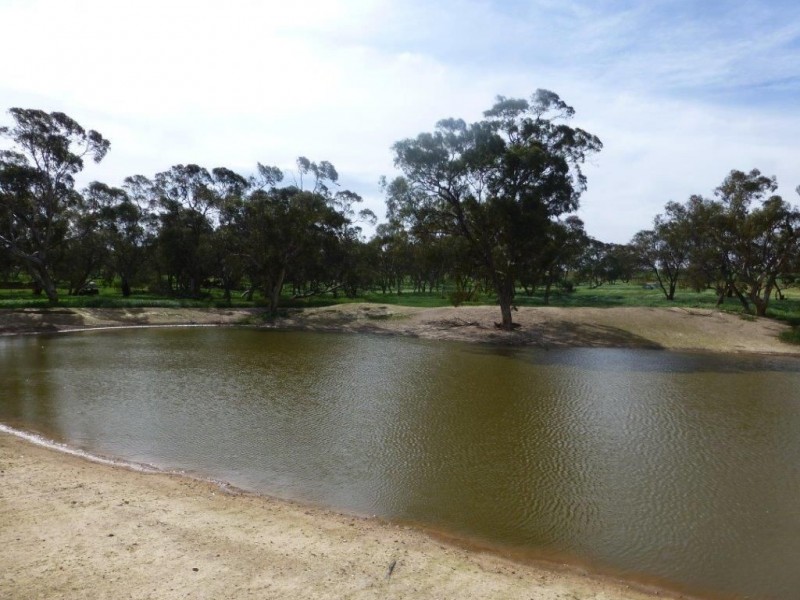 * “Gumview”, Pekina SA 5431