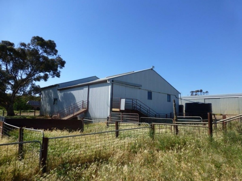 * “Gumview”, Pekina SA 5431