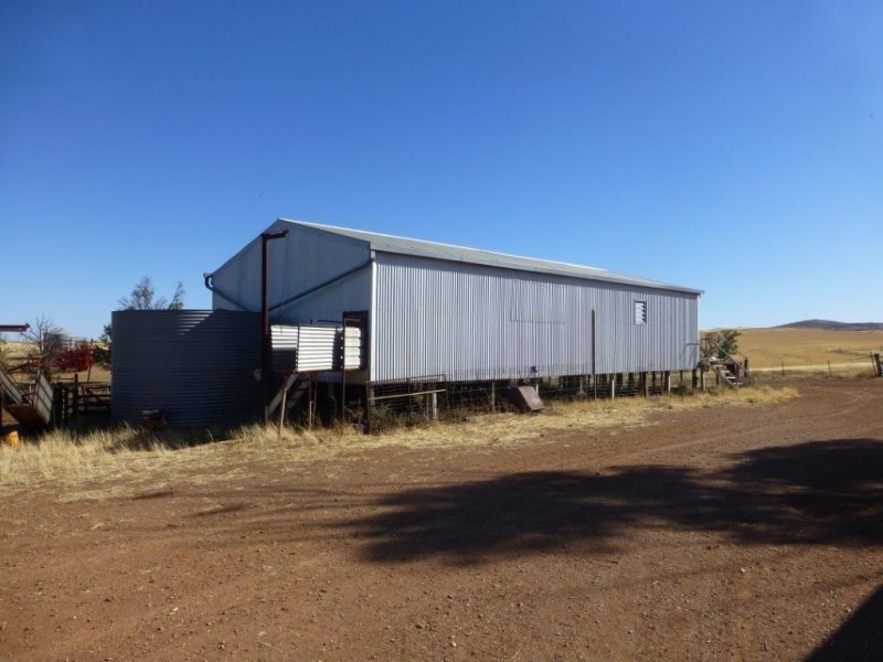 * ‘Ivy Glenn’, Carrieton SA 5432