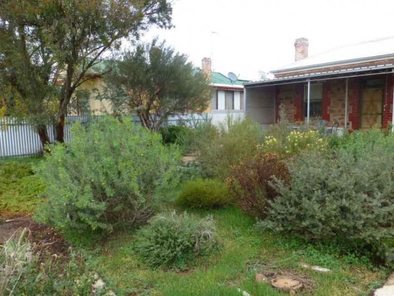 130 Mitchell Street, Terowie SA 5421