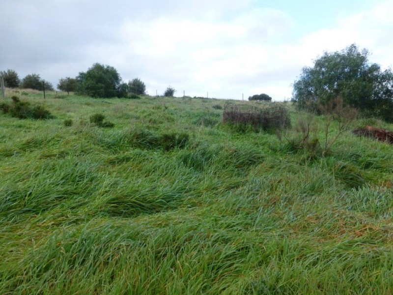 Lot 54 East Terrace, Hallett SA 5419