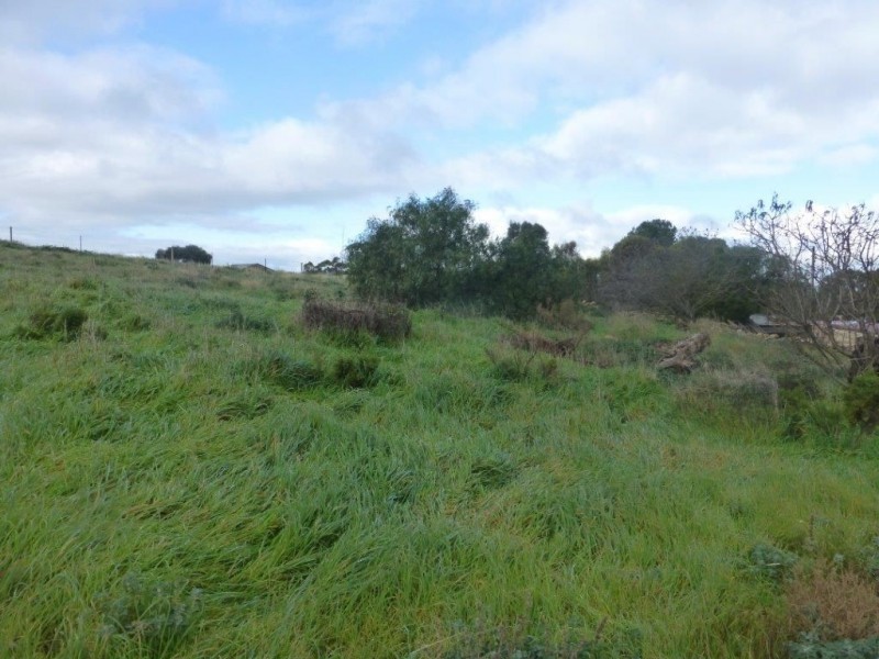 Lot 54 East Terrace, Hallett SA 5419