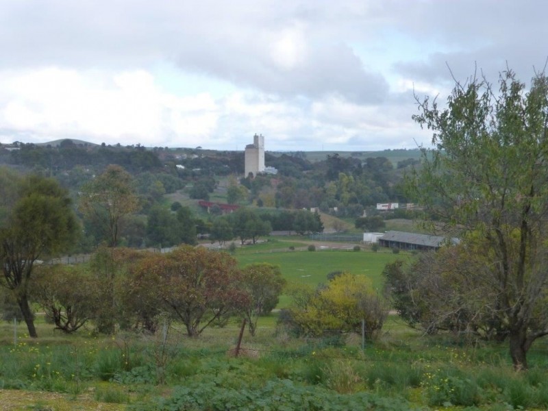 Lts 16. 17 West Terrace, Burra SA 5417