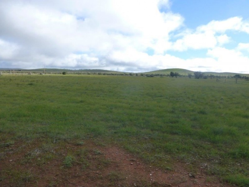 * Various Allotments, Terowie SA 5421