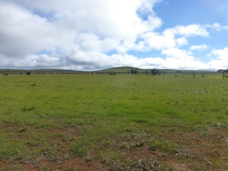 * Various Allotments, Terowie SA 5421