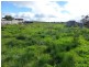 * Various Allotments, Terowie SA 5421
