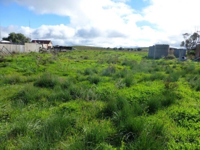 * Various Allotments, Terowie SA 5421