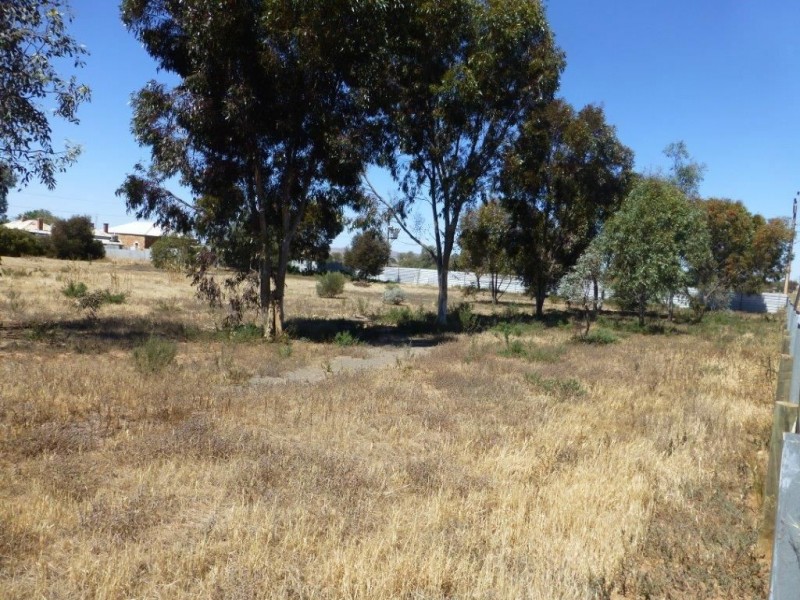 49 Mitchell Street, Terowie SA 5421