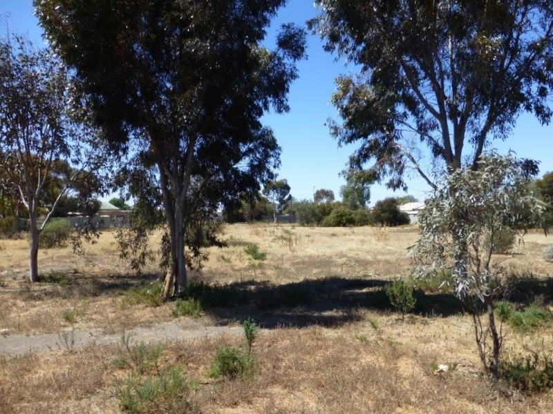 49 Mitchell Street, Terowie SA 5421