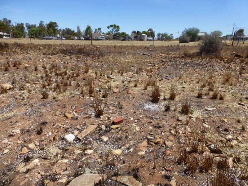 L175 & 176 Mitchell Street, Terowie SA 5421